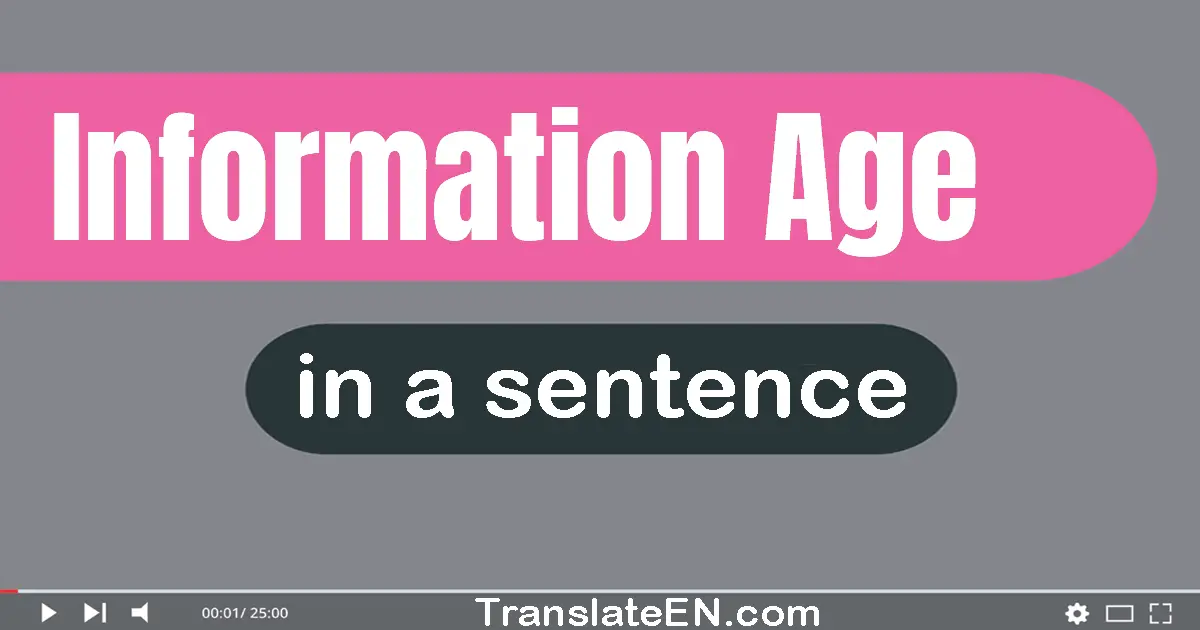 Use "information age" in a sentence | "information age" sentence examples