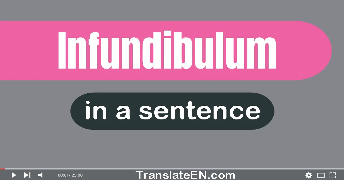 Use "infundibulum" in a sentence | "infundibulum" sentence examples