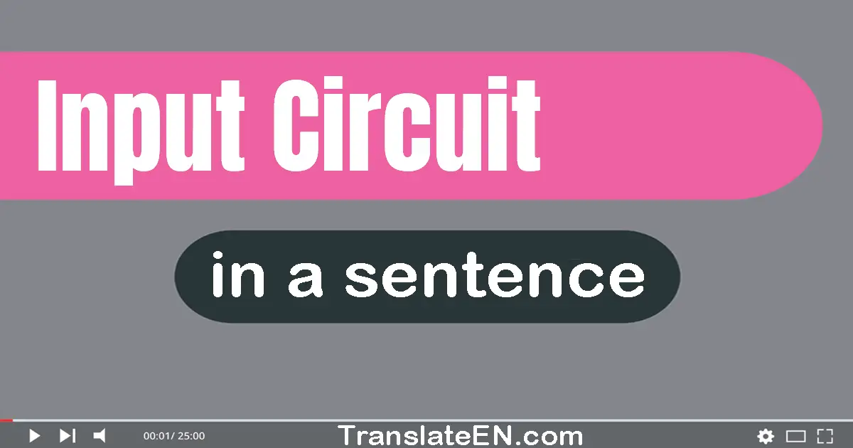 Use "input circuit" in a sentence | "input circuit" sentence examples