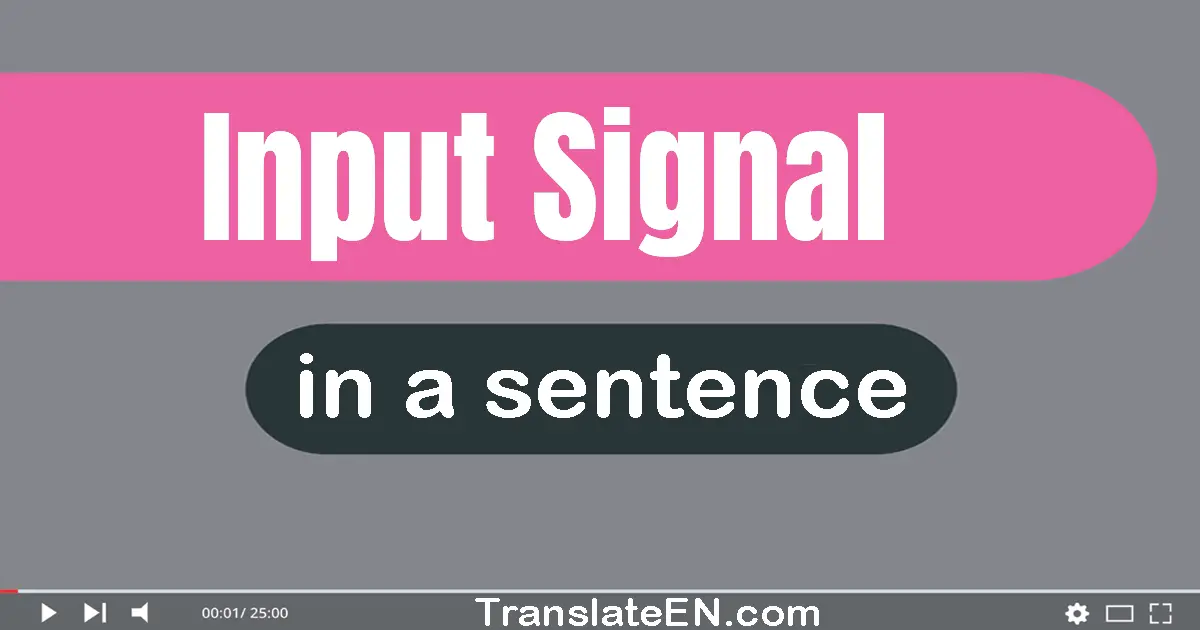 Use "input signal" in a sentence | "input signal" sentence examples