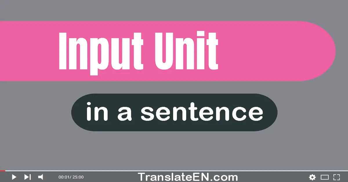 Use "input unit" in a sentence | "input unit" sentence examples