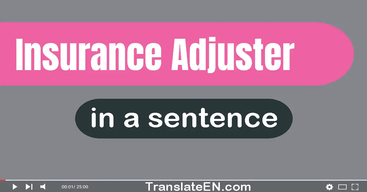 Use "insurance adjuster" in a sentence | "insurance adjuster" sentence examples