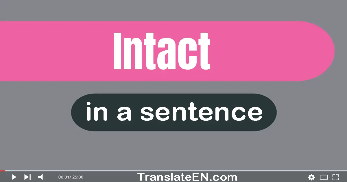 Use "intact" in a sentence | "intact" sentence examples