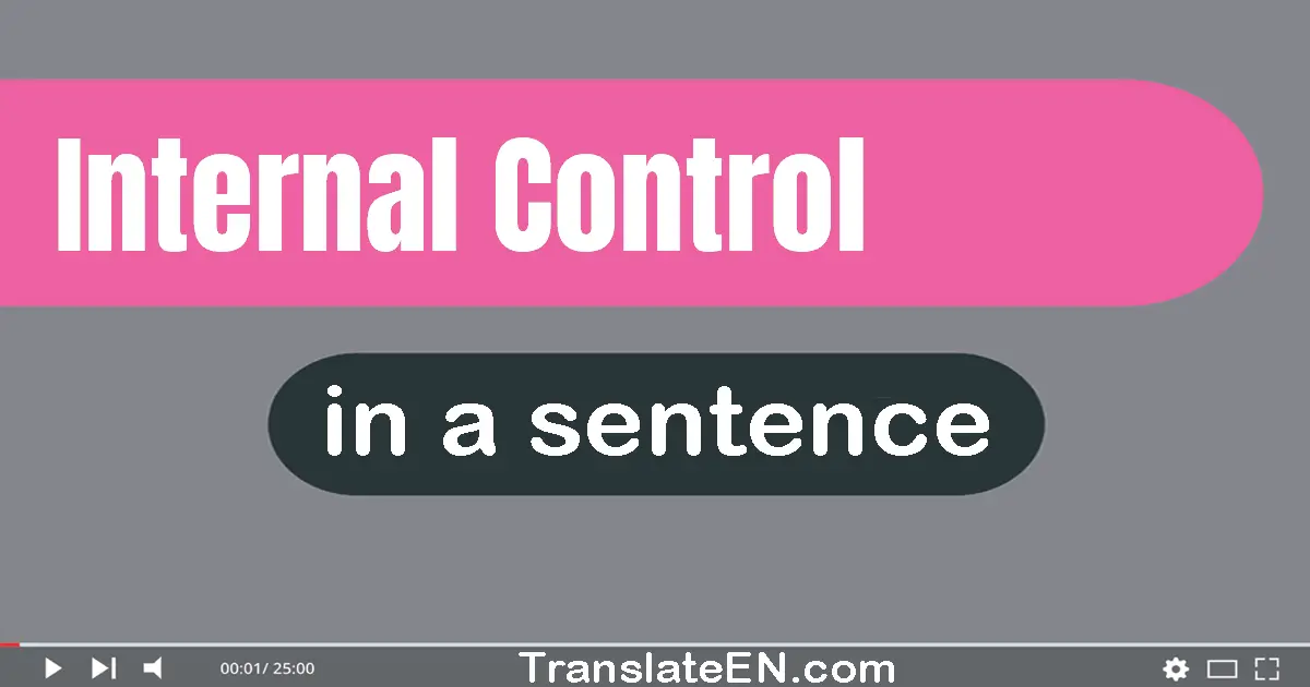 Use "internal control" in a sentence | "internal control" sentence examples
