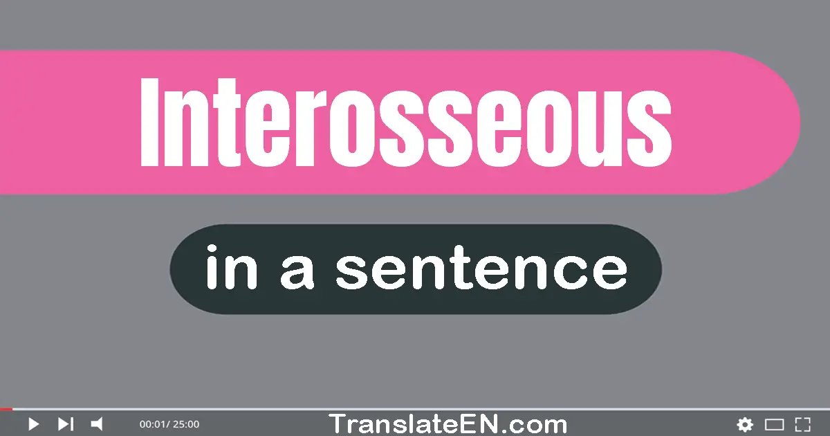 Use "interosseous" in a sentence | "interosseous" sentence examples