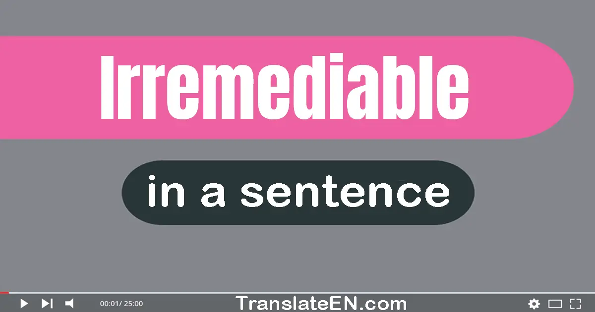 Use "irremediable" in a sentence | "irremediable" sentence examples