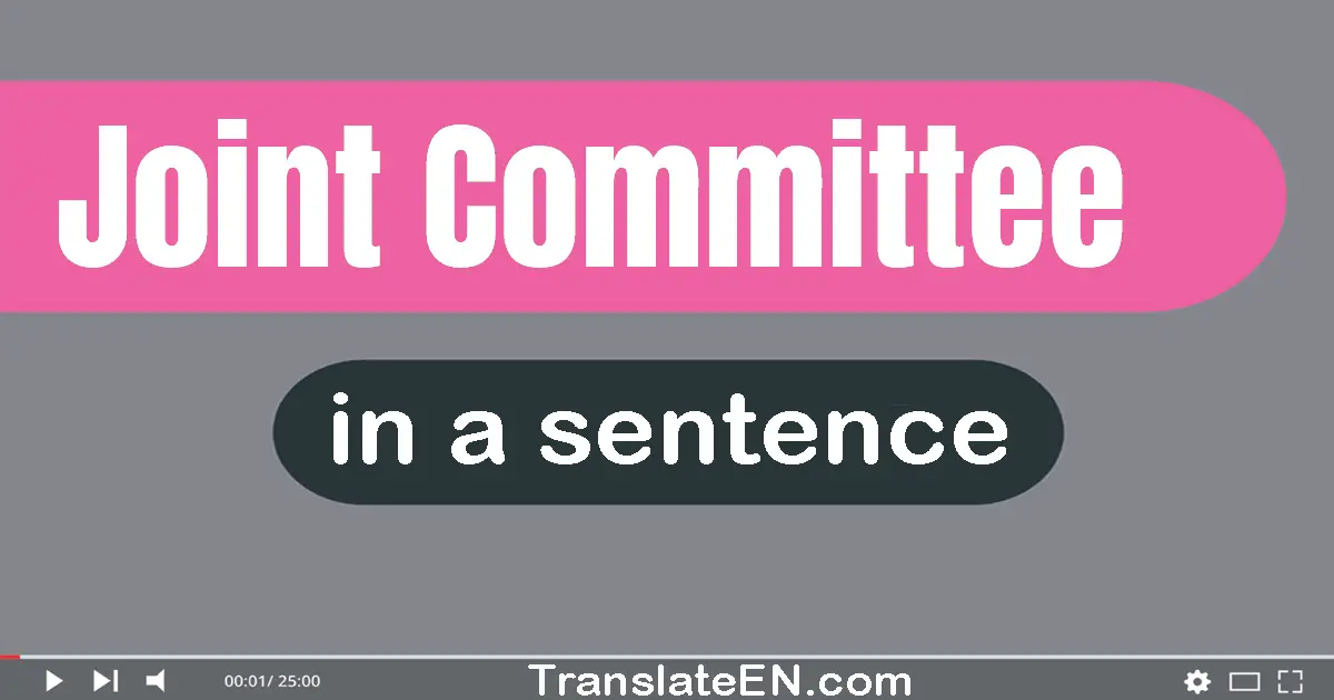 Use "joint committee" in a sentence | "joint committee" sentence examples