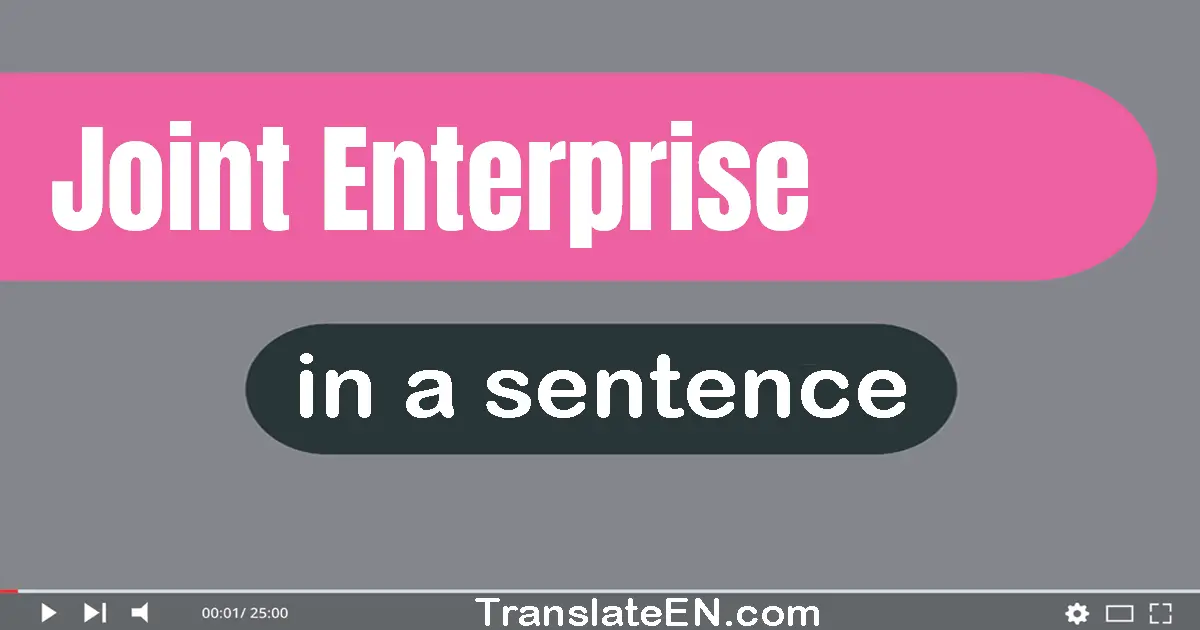 Use "joint enterprise" in a sentence | "joint enterprise" sentence examples