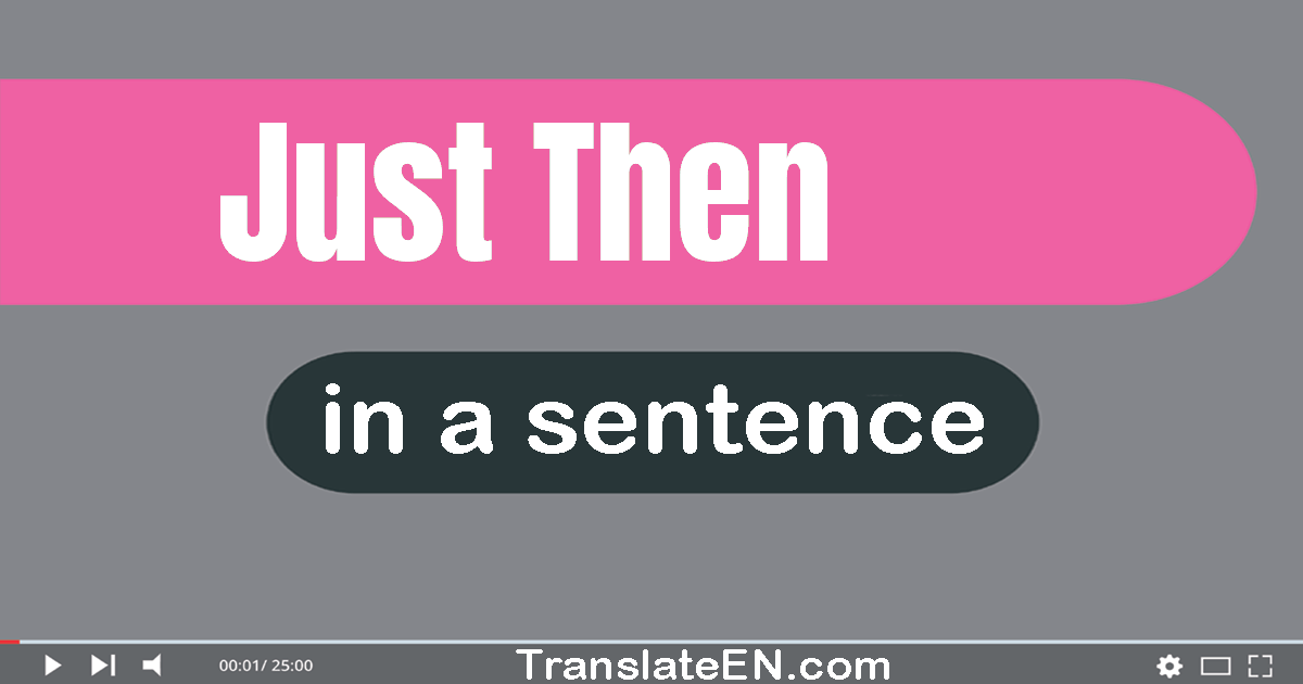 Use "just then" in a sentence | "just then" sentence examples