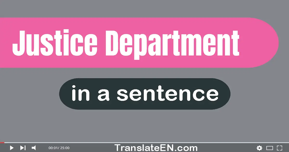 Use "justice department" in a sentence | "justice department" sentence examples