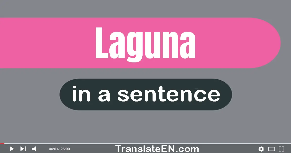 Use "laguna" in a sentence | "laguna" sentence examples