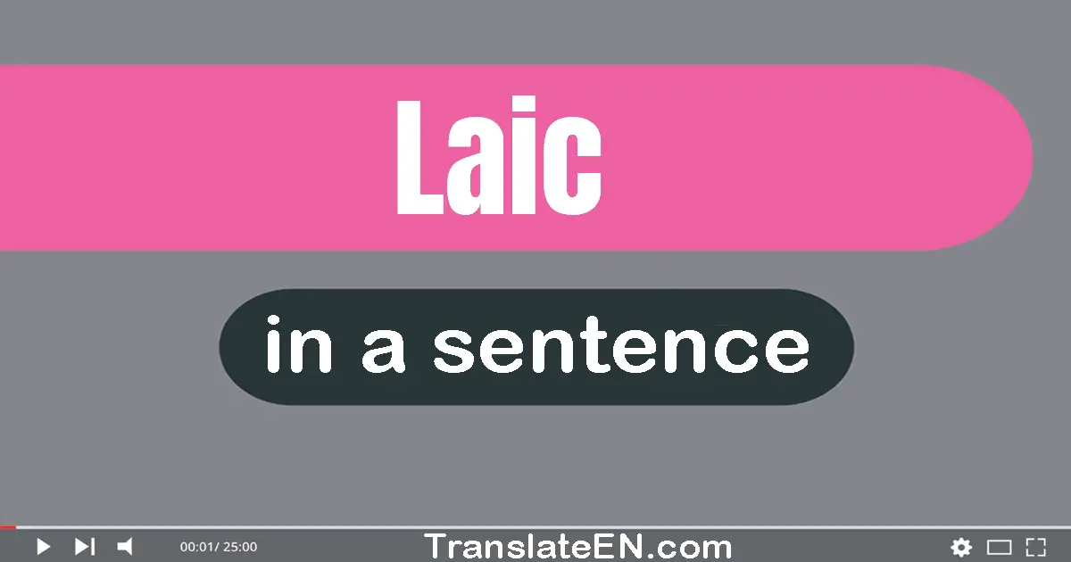 Use "laic" in a sentence | "laic" sentence examples