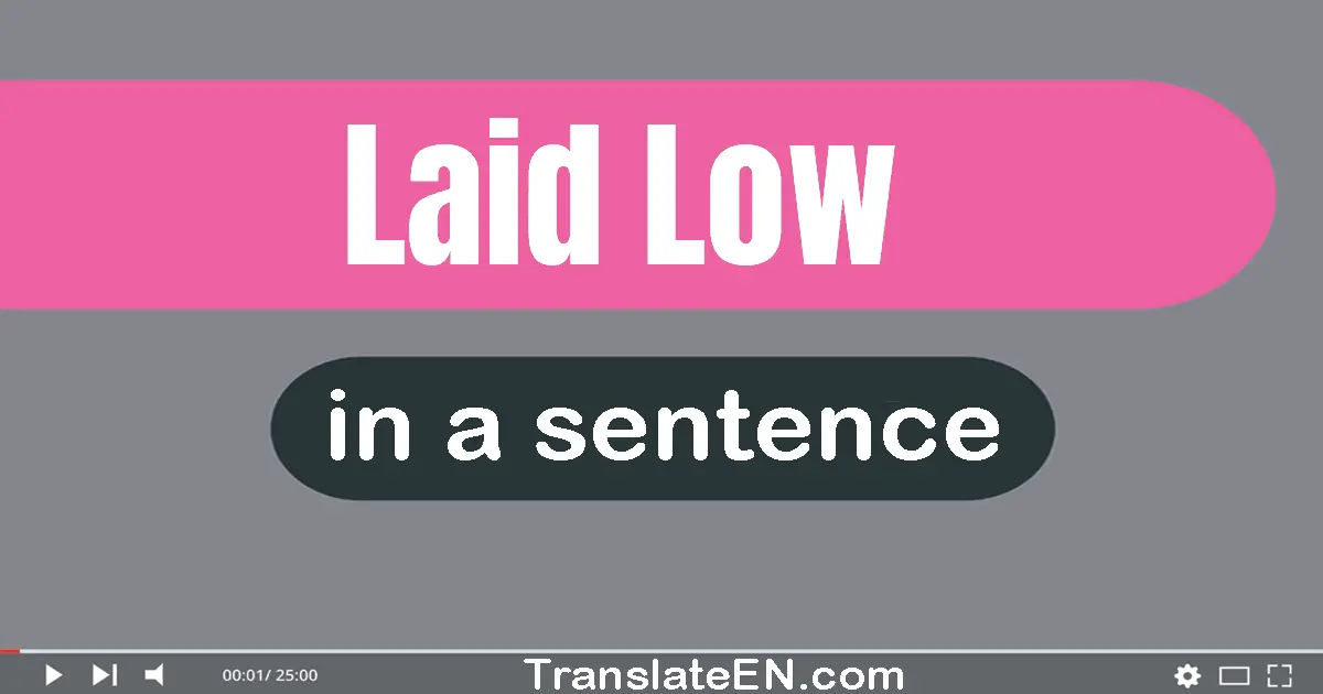 Use "laid low" in a sentence | "laid low" sentence examples