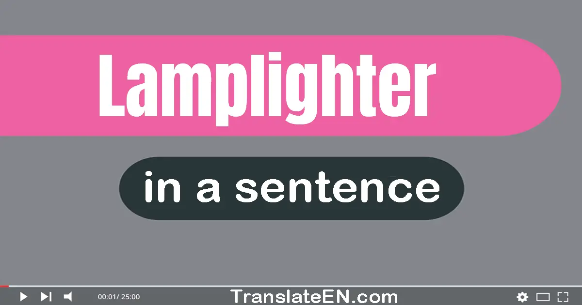 Use "lamplighter" in a sentence | "lamplighter" sentence examples