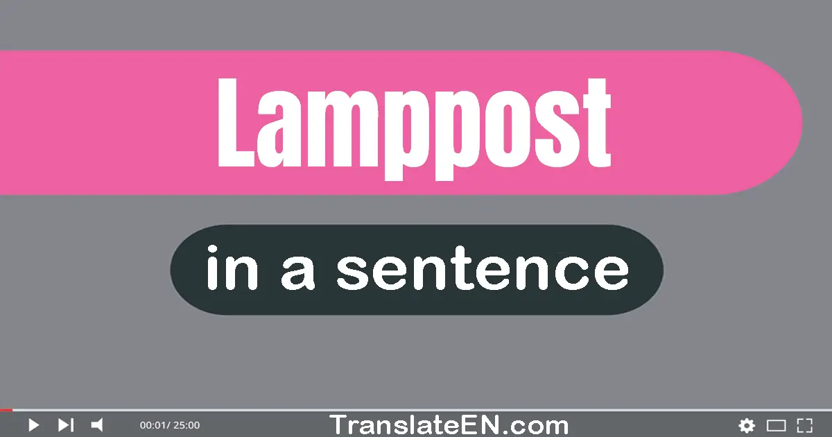 Use "lamppost" in a sentence | "lamppost" sentence examples
