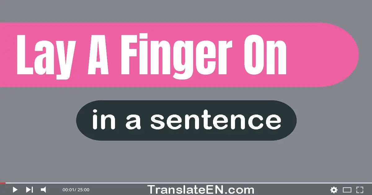Use "lay a finger on" in a sentence | "lay a finger on" sentence examples