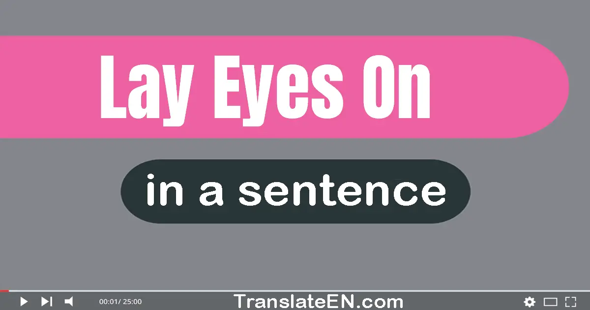 Use "lay eyes on" in a sentence | "lay eyes on" sentence examples