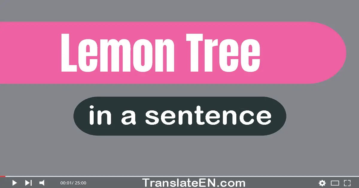 Use "lemon tree" in a sentence | "lemon tree" sentence examples