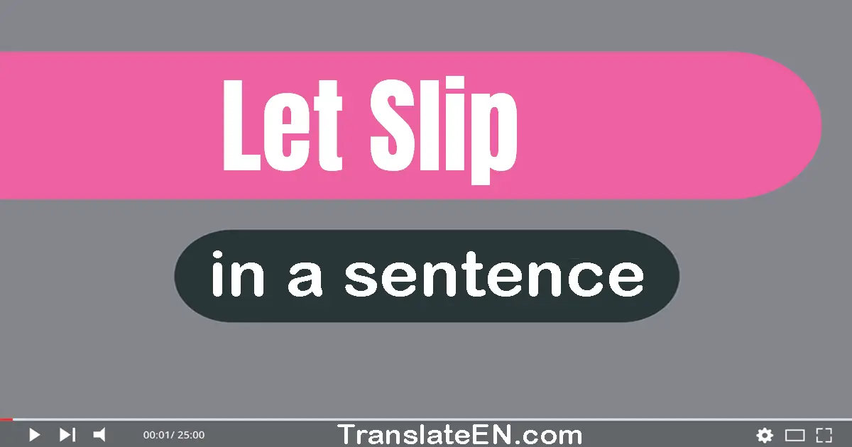 Use "let slip" in a sentence | "let slip" sentence examples