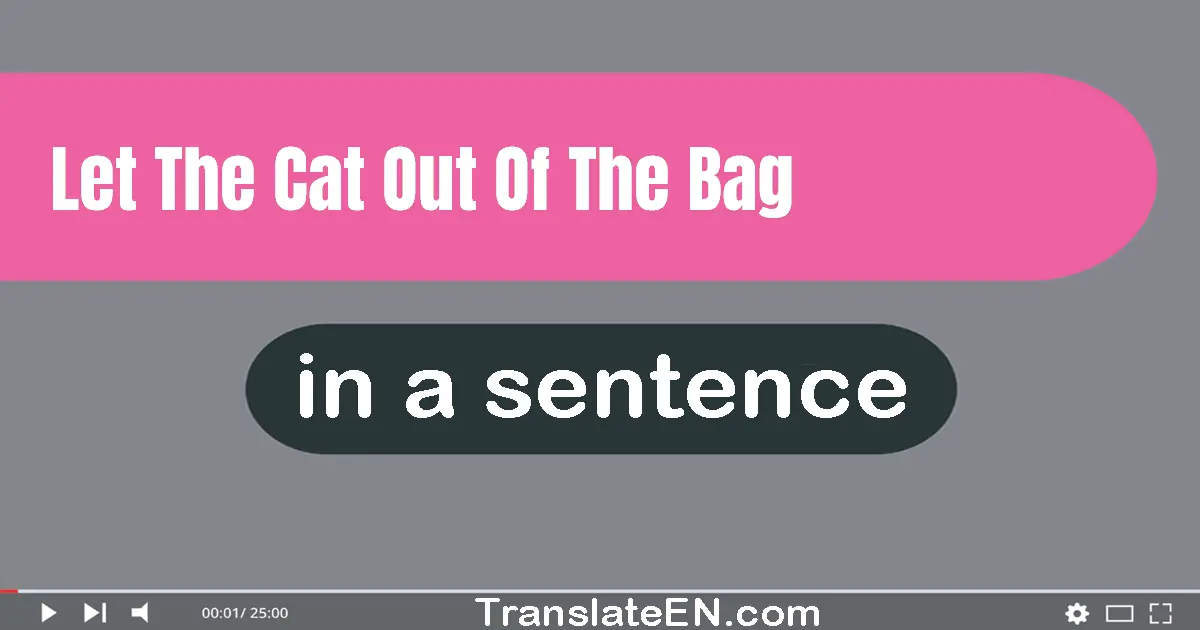 Use "let the cat out of the bag" in a sentence | "let the cat out of the bag" sentence examples