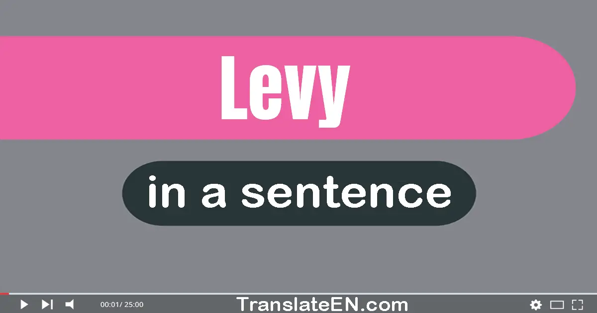 Use "levy" in a sentence | "levy" sentence examples