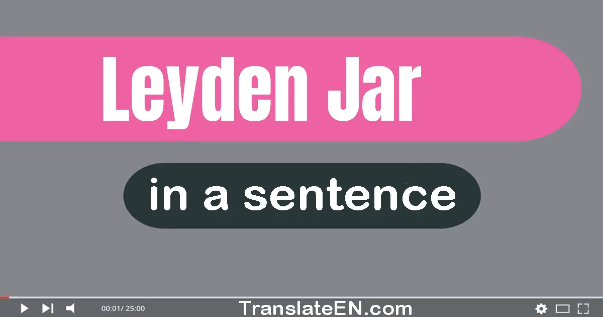 Use "leyden jar" in a sentence | "leyden jar" sentence examples