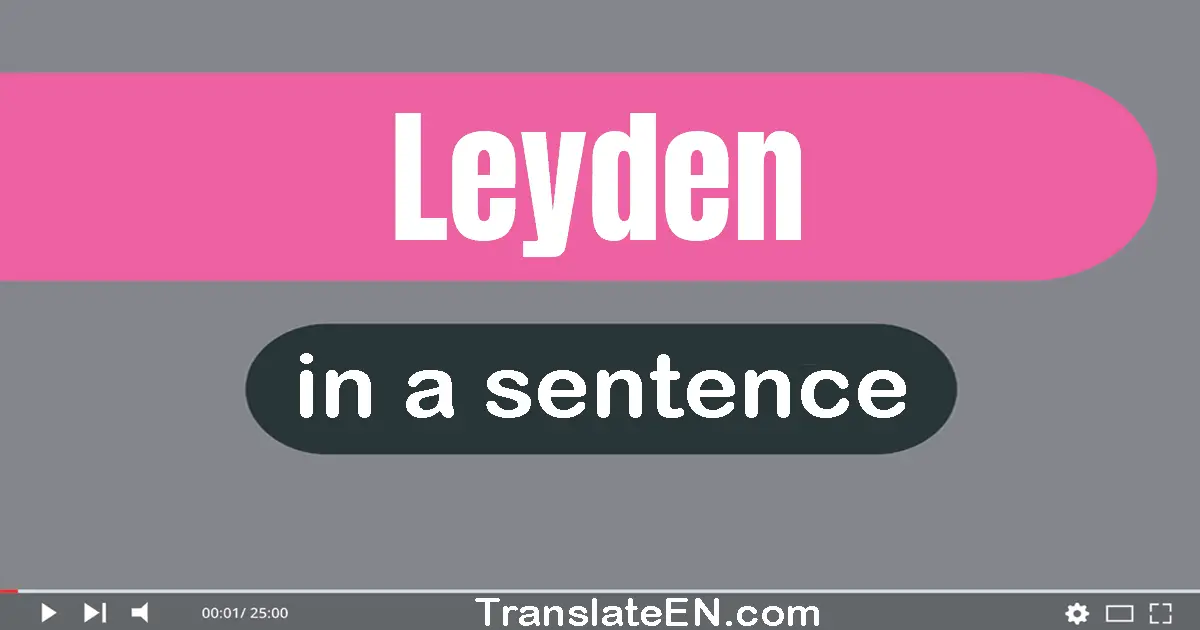 Use "leyden" in a sentence | "leyden" sentence examples