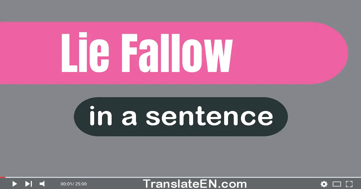 Use "lie fallow" in a sentence | "lie fallow" sentence examples