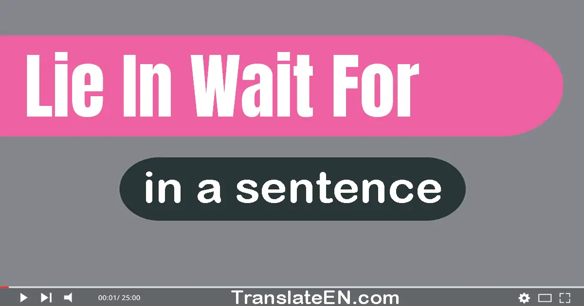 Use "lie in wait for" in a sentence | "lie in wait for" sentence examples