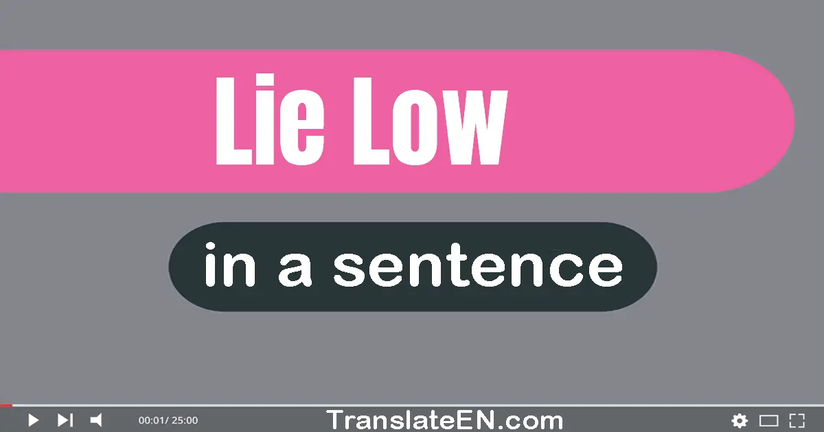 Use "lie low" in a sentence | "lie low" sentence examples