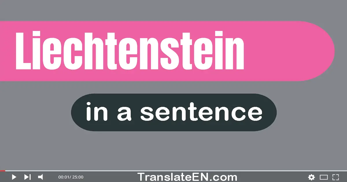 Use "liechtenstein" in a sentence | "liechtenstein" sentence examples