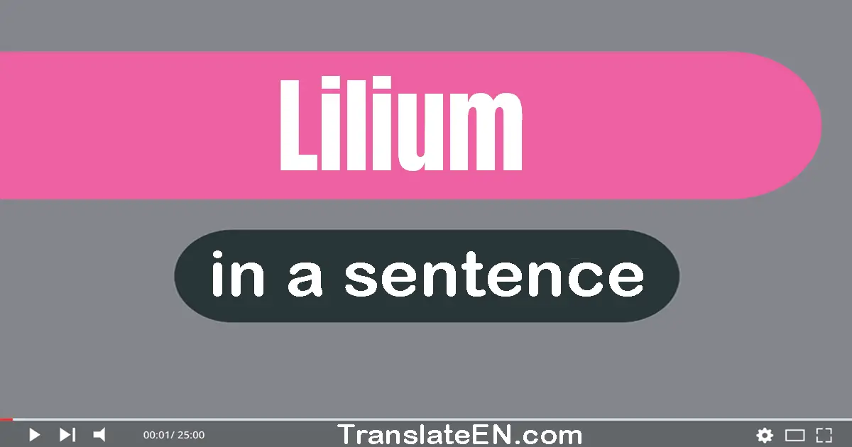 Use "lilium" in a sentence | "lilium" sentence examples