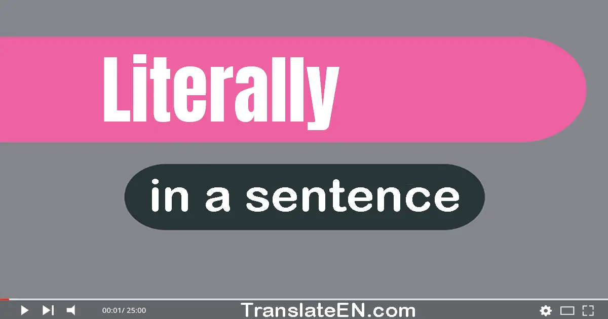 Use "literally" in a sentence | "literally" sentence examples