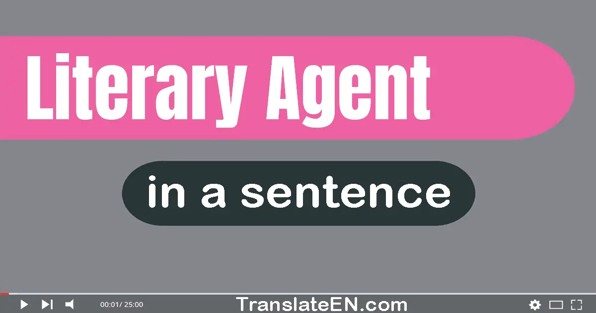 Use "literary agent" in a sentence | "literary agent" sentence examples