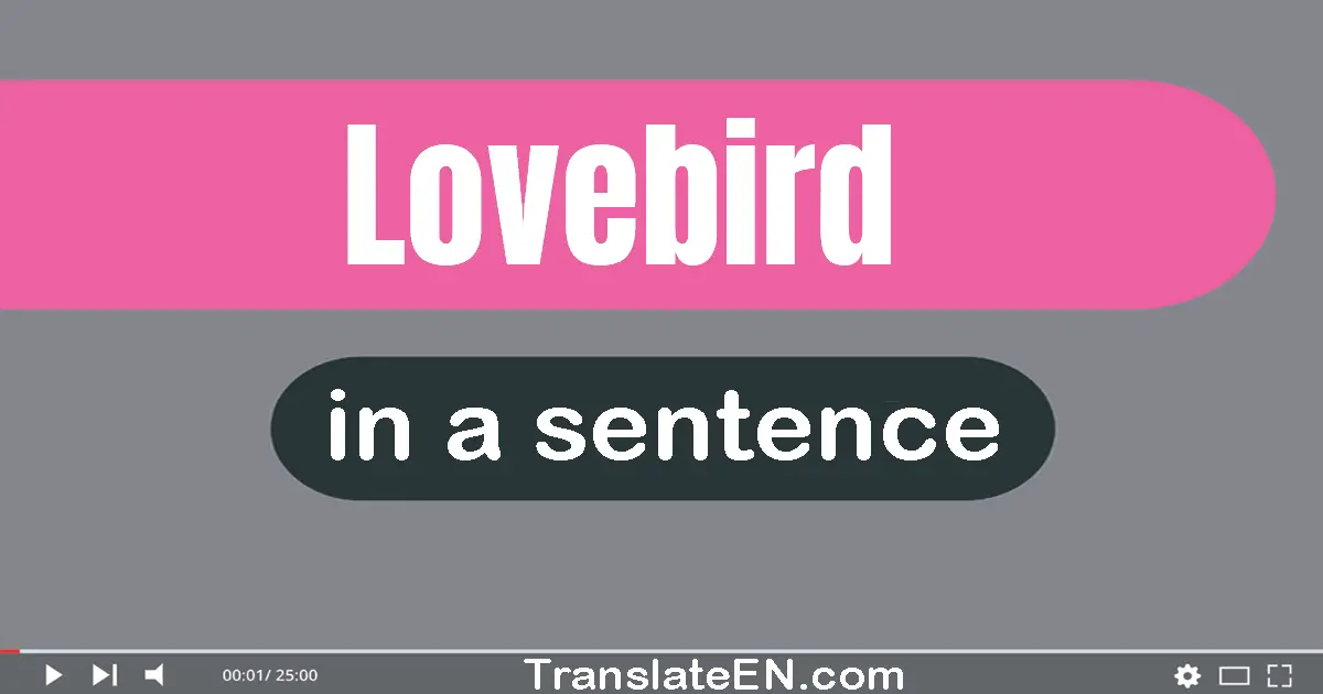 Use "lovebird" in a sentence | "lovebird" sentence examples