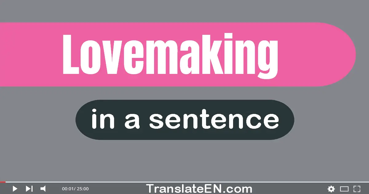 Use "lovemaking" in a sentence | "lovemaking" sentence examples