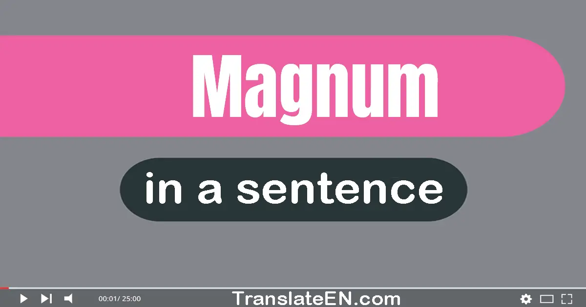 Use "magnum" in a sentence | "magnum" sentence examples