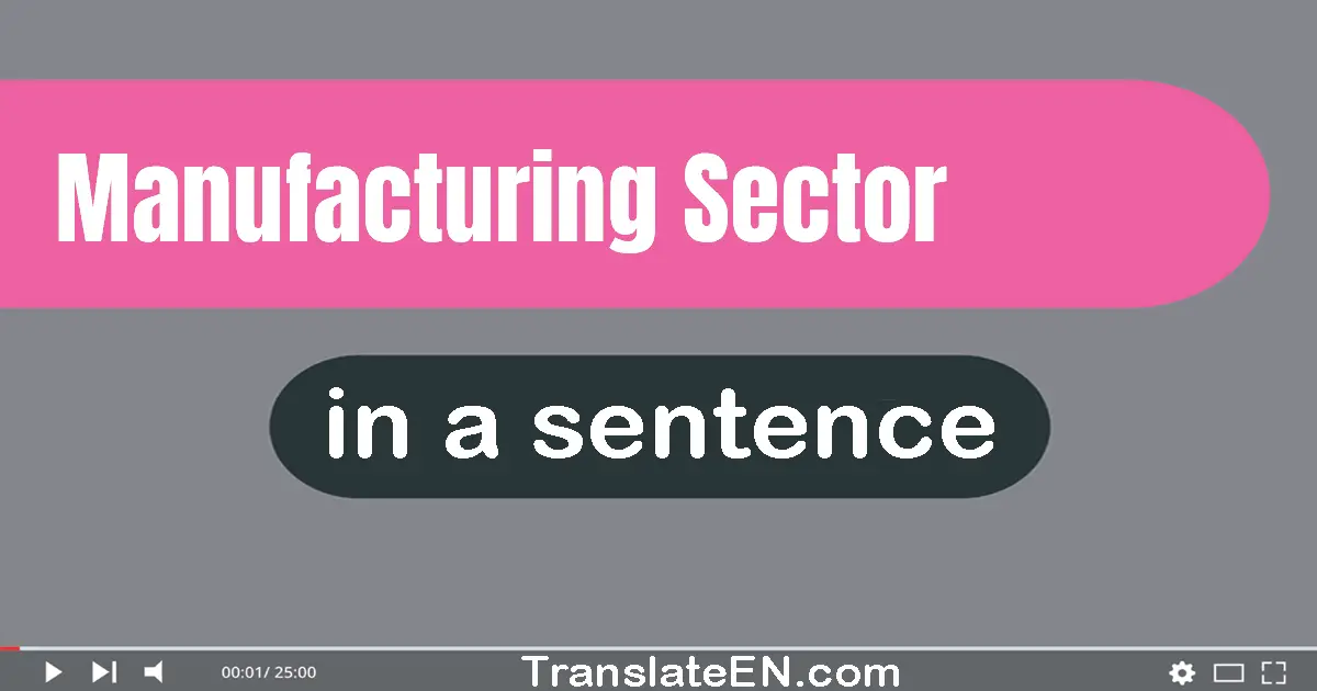 Use "manufacturing sector" in a sentence | "manufacturing sector" sentence examples