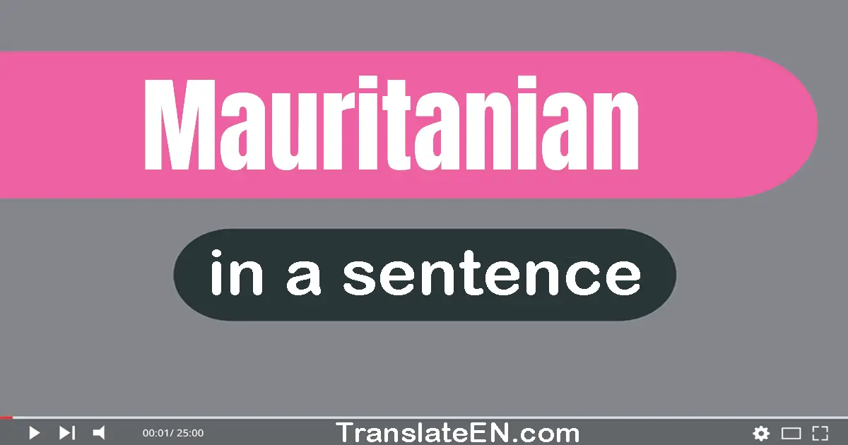 Use "mauritanian" in a sentence | "mauritanian" sentence examples