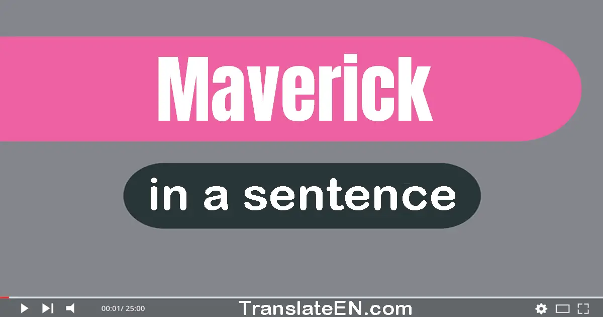 Use "maverick" in a sentence | "maverick" sentence examples