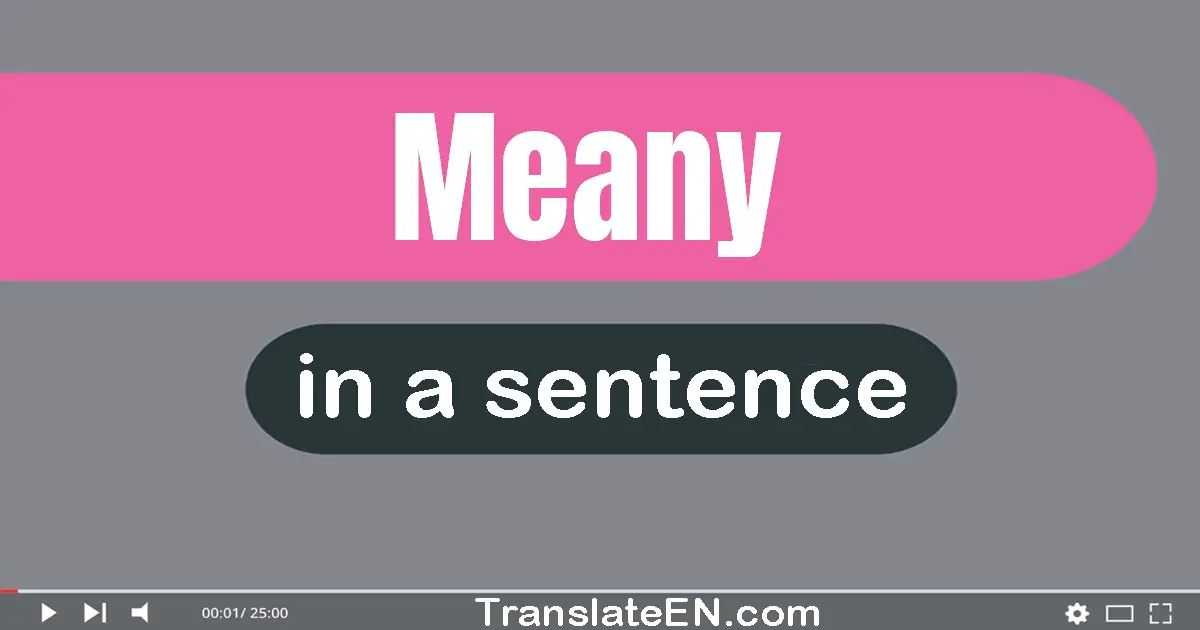 Use "meany" in a sentence | "meany" sentence examples