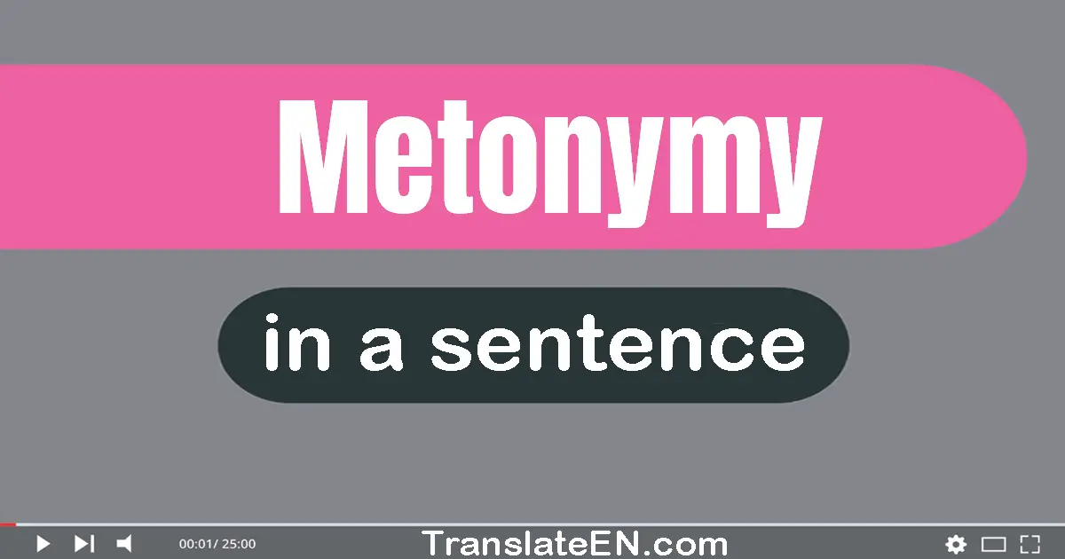 Use "metonymy" in a sentence | "metonymy" sentence examples
