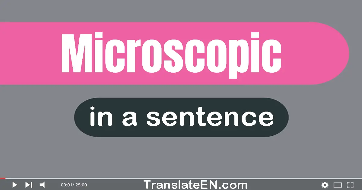 Use "microscopic" in a sentence | "microscopic" sentence examples