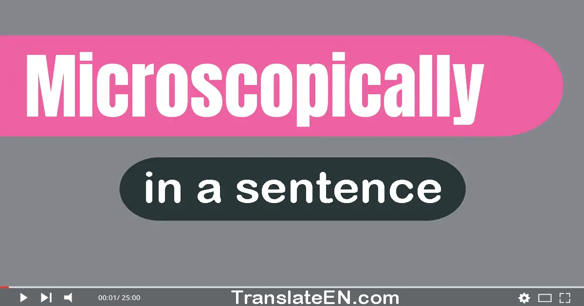 Use "microscopically" in a sentence | "microscopically" sentence examples