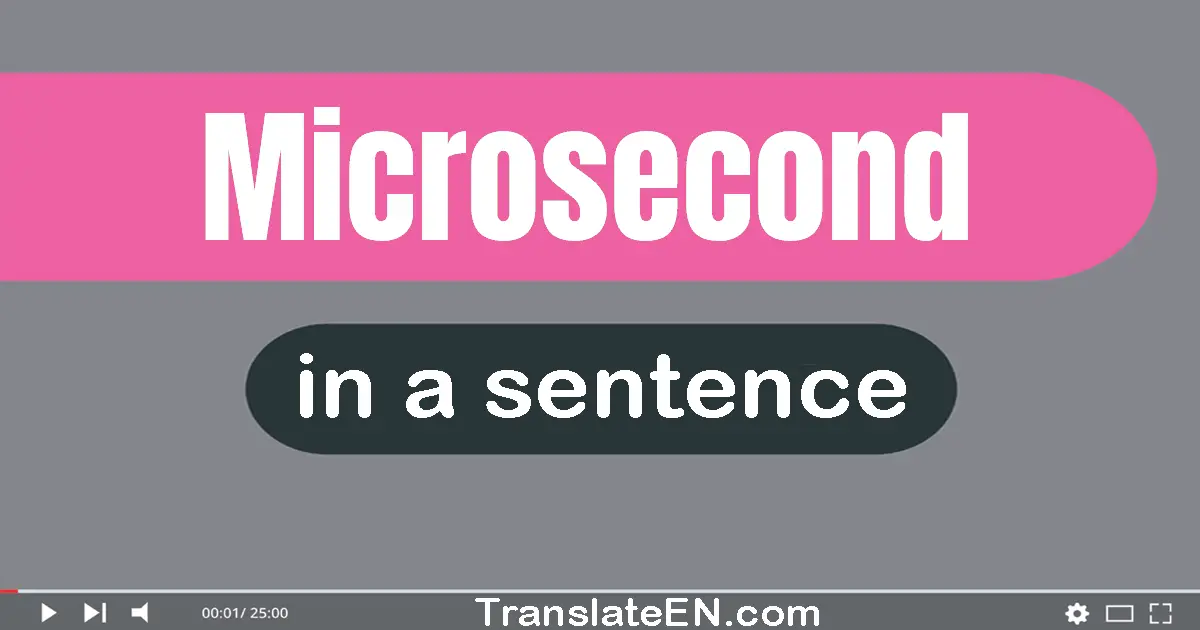 Use "microsecond" in a sentence | "microsecond" sentence examples