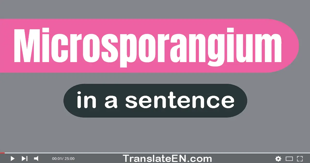 Use "microsporangium" in a sentence | "microsporangium" sentence examples