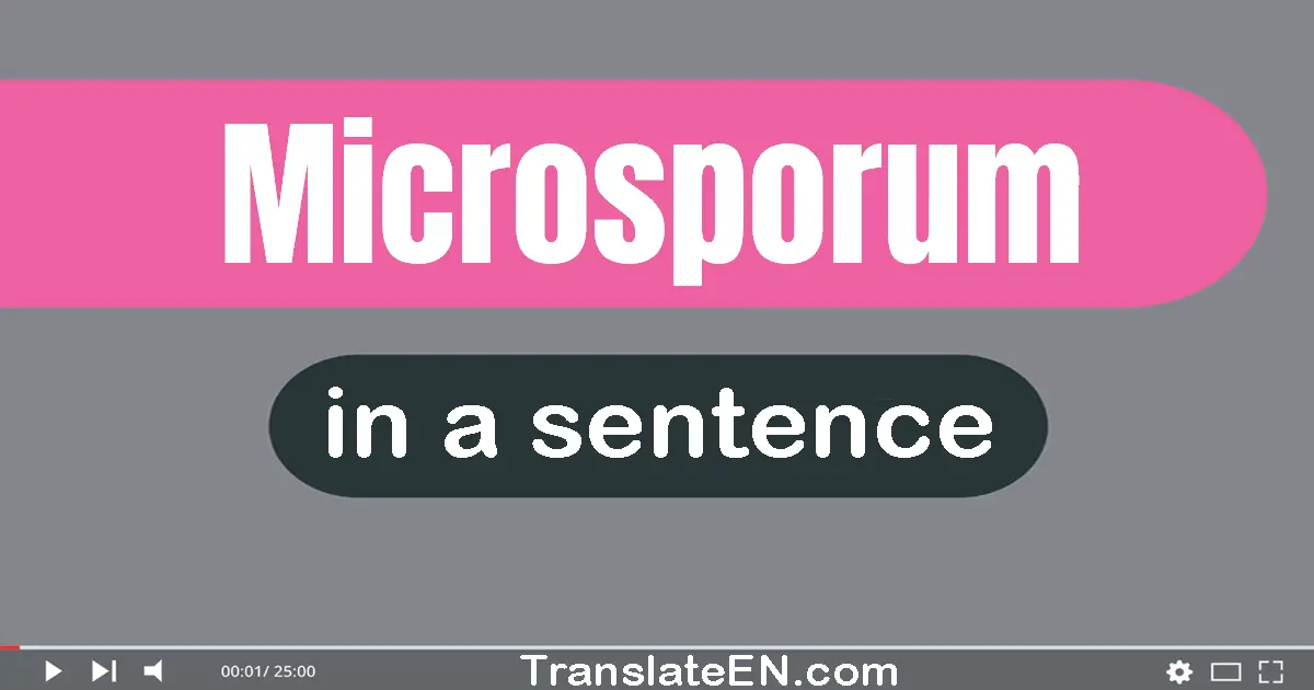 Use "microsporum" in a sentence | "microsporum" sentence examples