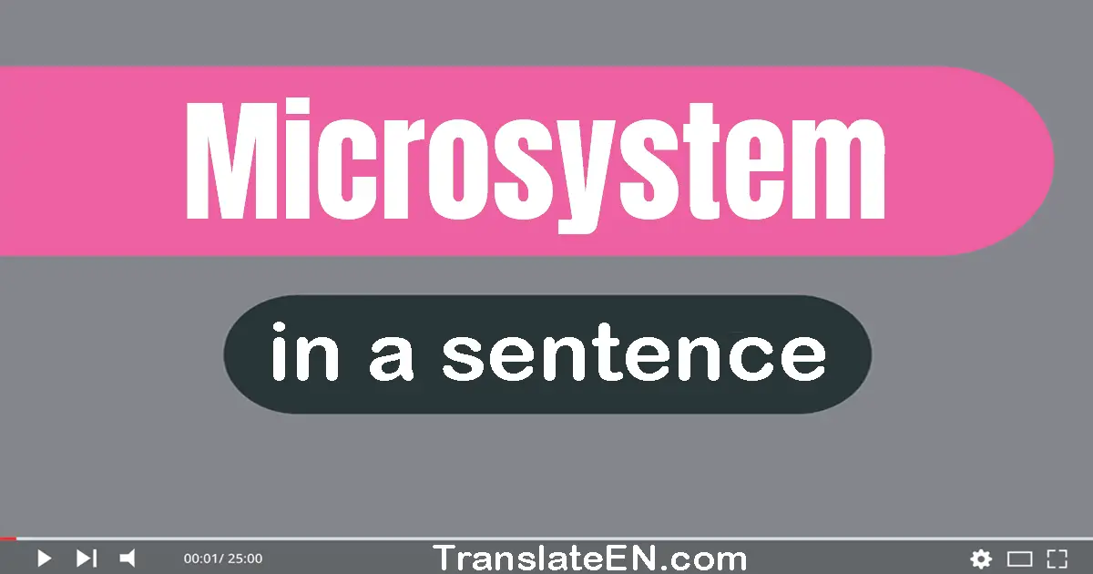 Use "microsystem" in a sentence | "microsystem" sentence examples