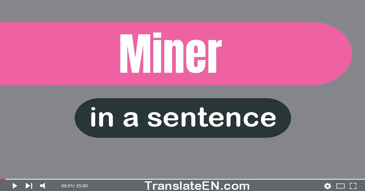 Use "miner" in a sentence | "miner" sentence examples