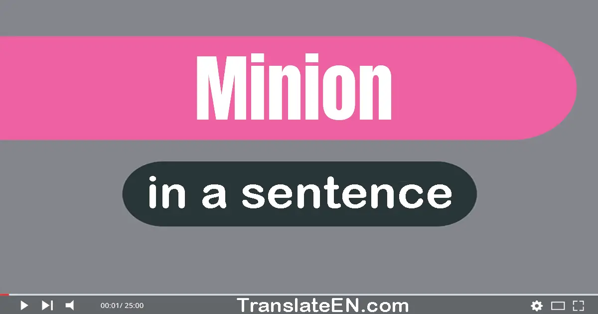 Use "minion" in a sentence | "minion" sentence examples